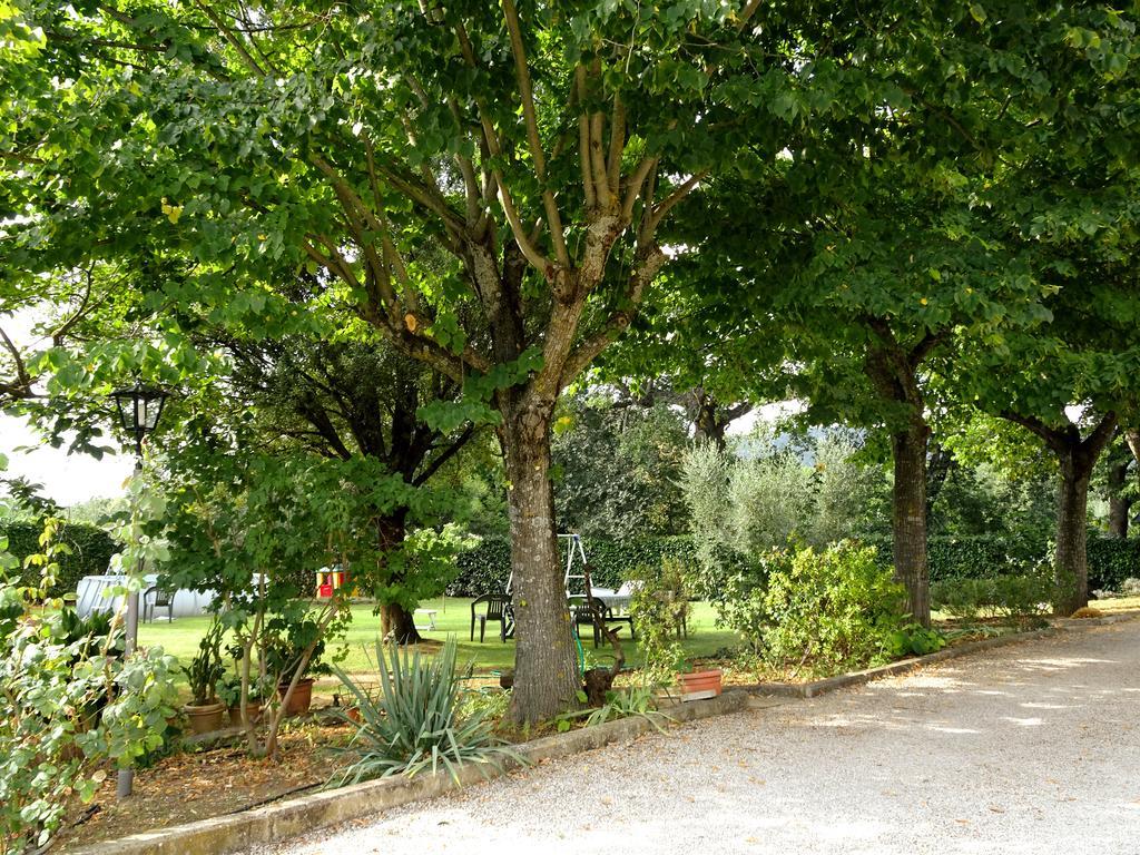 Bed and Breakfast Casa Dina Terontola Exterior foto